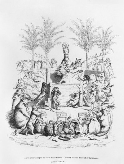 「砂糖水を飲んだ後、有名な雄弁家が台から降りてくる」、「Scenes de la Vie Privee et Publique des Animaux」のイラスト 作： Grandville